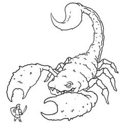 Coloring page: Scorpio (Animals) #14537 - Printable coloring pages