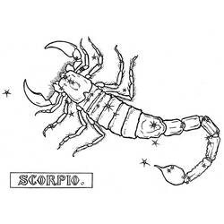 Coloring page: Scorpio (Animals) #14596 - Printable coloring pages