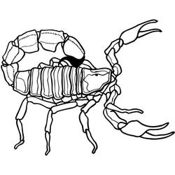 Coloring page: Scorpio (Animals) #14601 - Printable coloring pages
