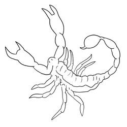 Scorpio (Animals) coloring page #209577 to print and color