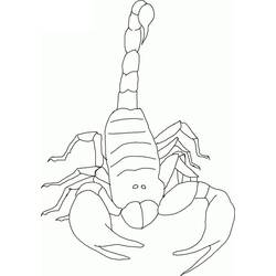 Scorpio (Animals) coloring page #209578 to print and color