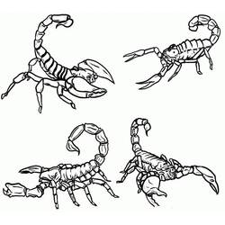 Scorpio (Animals) coloring page #209586 to print and color