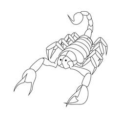 Scorpio (Animals) coloring page #209595 to print and color
