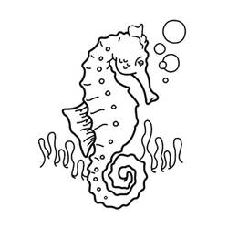 Coloring page: Seahorse (Animals) #18587 - Printable coloring pages