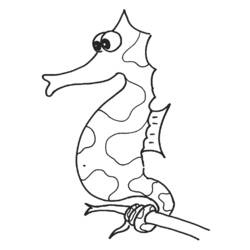 Coloring page: Seahorse (Animals) #18616 - Free Printable Coloring Pages