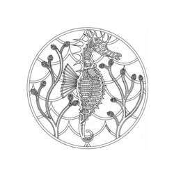 Coloring page: Seahorse (Animals) #18618 - Printable coloring pages