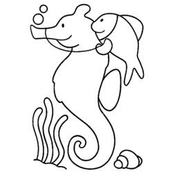 Coloring page: Seahorse (Animals) #18634 - Free Printable Coloring Pages