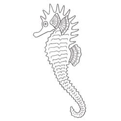 Coloring page: Seahorse (Animals) #18648 - Printable coloring pages