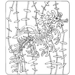 Coloring page: Seahorse (Animals) #18652 - Free Printable Coloring Pages