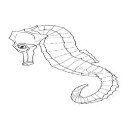Coloring page: Seahorse (Animals) #18728 - Printable coloring pages