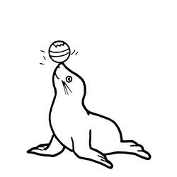 Coloring page: Seal (Animals) #16262 - Printable coloring pages
