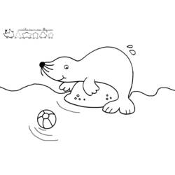 Coloring page: Seal (Animals) #16277 - Free Printable Coloring Pages