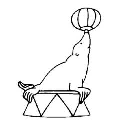 Coloring page: Seal (Animals) #16284 - Free Printable Coloring Pages