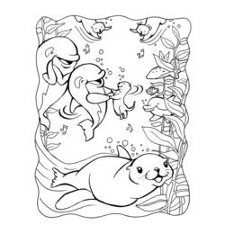 Coloring page: Seal (Animals) #16318 - Printable coloring pages