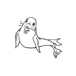 Coloring page: Seal (Animals) #16333 - Printable coloring pages