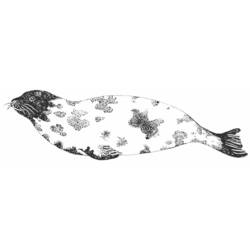 Coloring page: Seal (Animals) #16339 - Free Printable Coloring Pages