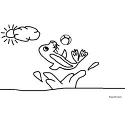 Coloring page: Seal (Animals) #16367 - Free Printable Coloring Pages