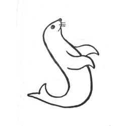 Coloring page: Seal (Animals) #16372 - Printable coloring pages