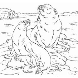 Coloring page: Seal (Animals) #16383 - Free Printable Coloring Pages
