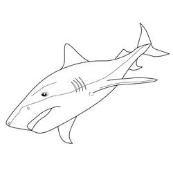 Coloring page: Shark (Animals) #14764 - Printable coloring pages