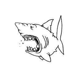 Coloring page: Shark (Animals) #14773 - Free Printable Coloring Pages