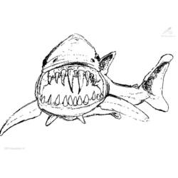 Coloring page: Shark (Animals) #14775 - Printable coloring pages
