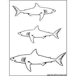 Coloring page: Shark (Animals) #14776 - Printable coloring pages