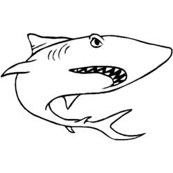 Coloring page: Shark (Animals) #14779 - Free Printable Coloring Pages