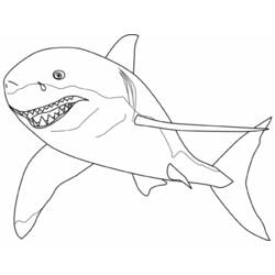 Coloring page: Shark (Animals) #14780 - Printable coloring pages