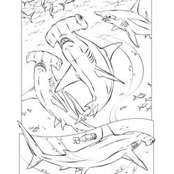 Coloring page: Shark (Animals) #14784 - Free Printable Coloring Pages
