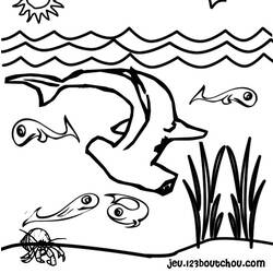 Coloring page: Shark (Animals) #14788 - Free Printable Coloring Pages