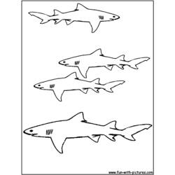 Coloring page: Shark (Animals) #14800 - Free Printable Coloring Pages