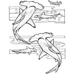 Coloring page: Shark (Animals) #14805 - Printable coloring pages