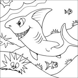 Coloring page: Shark (Animals) #14811 - Free Printable Coloring Pages