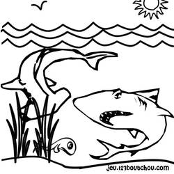 Coloring page: Shark (Animals) #14831 - Free Printable Coloring Pages
