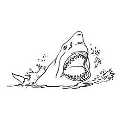 Coloring page: Shark (Animals) #14835 - Free Printable Coloring Pages