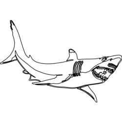 Coloring page: Shark (Animals) #14837 - Printable coloring pages