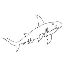 Coloring page: Shark (Animals) #14851 - Free Printable Coloring Pages