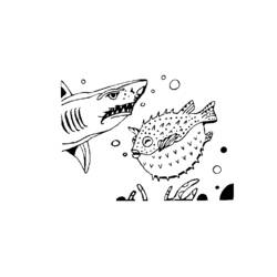 Coloring page: Shark (Animals) #14856 - Free Printable Coloring Pages