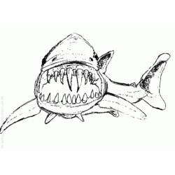 Coloring page: Shark (Animals) #14857 - Printable coloring pages