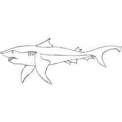 Coloring page: Shark (Animals) #14860 - Printable coloring pages