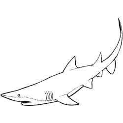 Coloring page: Shark (Animals) #14871 - Printable coloring pages