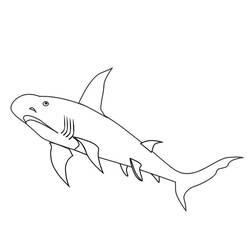 Coloring page: Shark (Animals) #14882 - Free Printable Coloring Pages