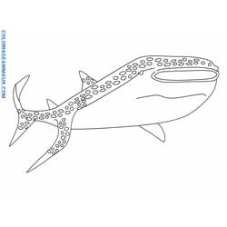 Coloring page: Shark (Animals) #14905 - Printable coloring pages