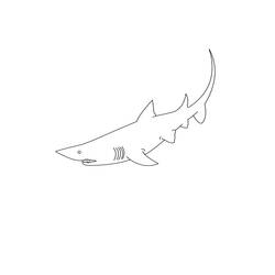 Coloring page: Shark (Animals) #14906 - Free Printable Coloring Pages
