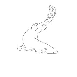 Coloring page: Shark (Animals) #14907 - Free Printable Coloring Pages