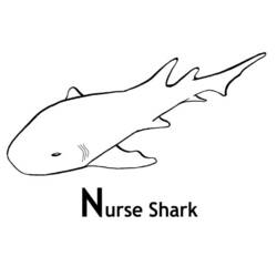 Coloring page: Shark (Animals) #14914 - Free Printable Coloring Pages