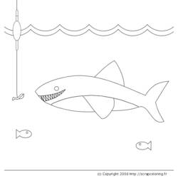 Coloring page: Shark (Animals) #14941 - Free Printable Coloring Pages