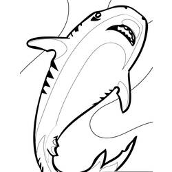 Coloring page: Shark (Animals) #14955 - Free Printable Coloring Pages