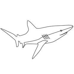 Shark (Animals) coloring page #177719 to print and color